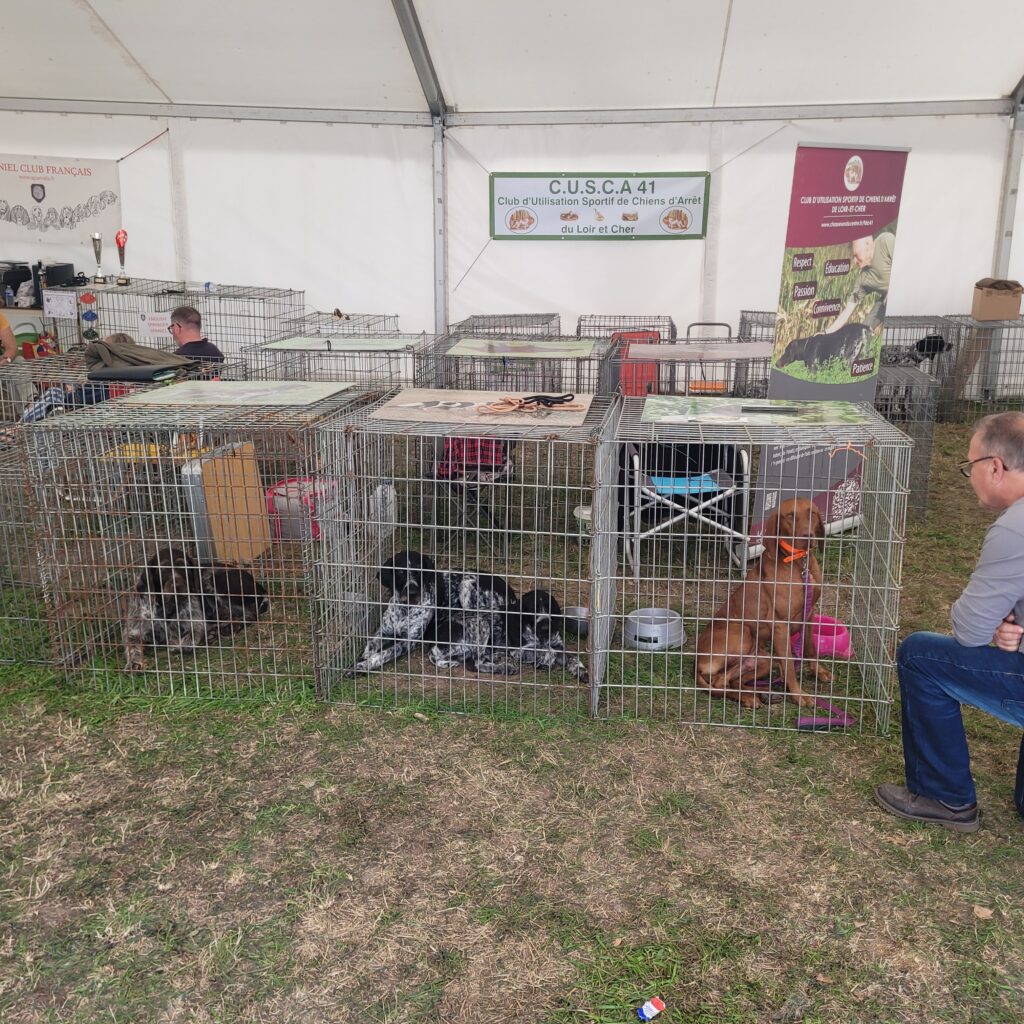 Stand Cusca