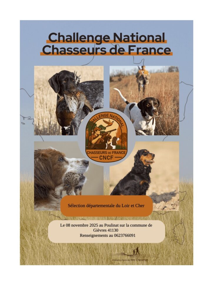 affiche cncf 12